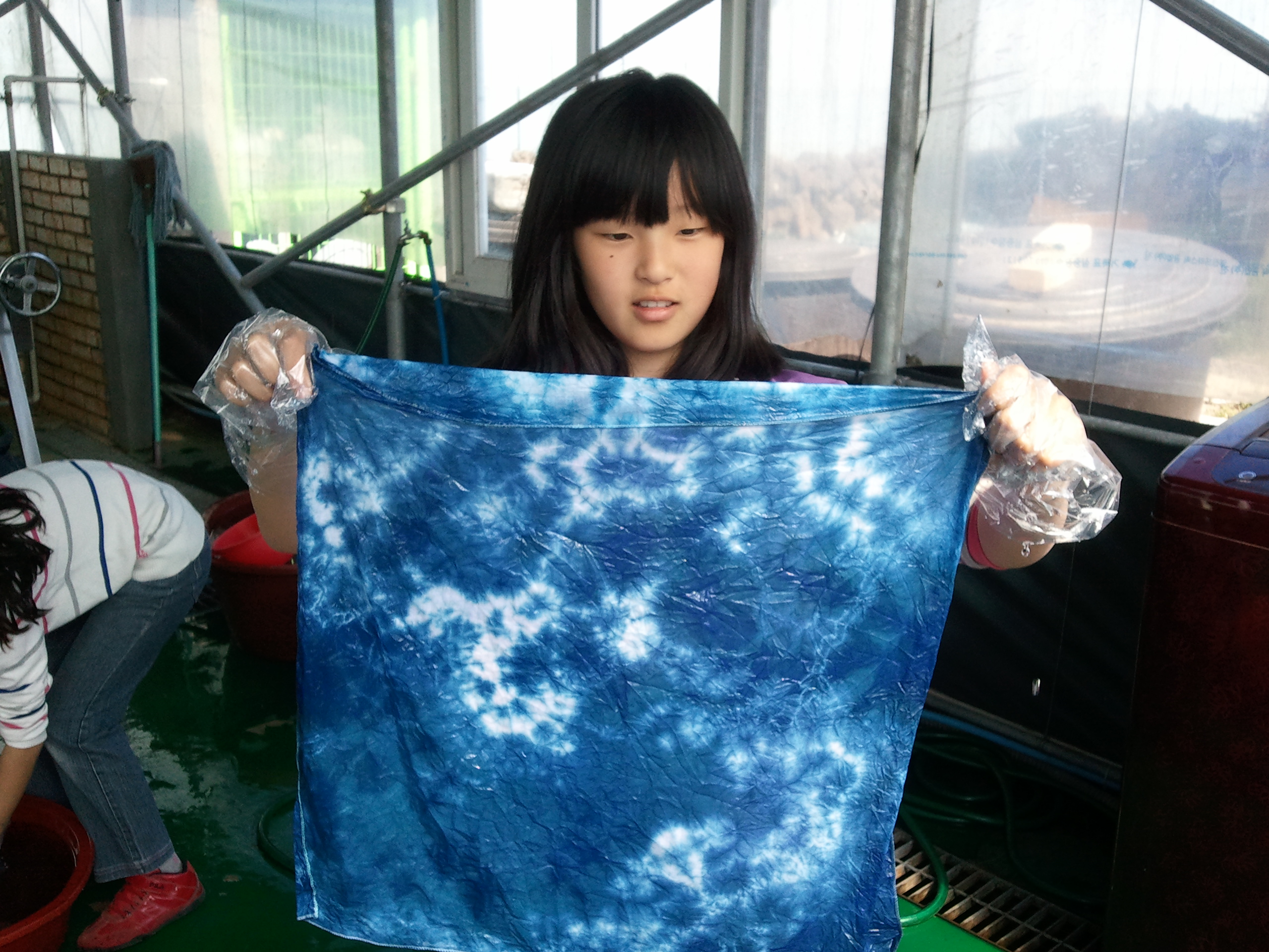 [농촌자원] 천연염색체험(서귀중앙초,2011.4.19)